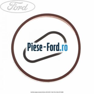 Garnitura, pompa vacuum Ford Focus 2014-2018 1.6 TDCi 95 cai